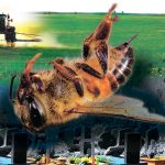 «BAYER - ПЕРЕСТАНЬ УБИВАТИ НАС»