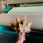Першу промислову партію паперу з опалого листя випустили в Україні